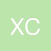 xiiscarab